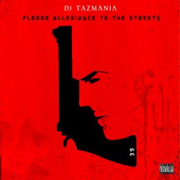Pledge Allegiance To The Streets 35